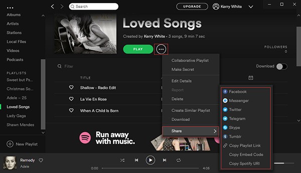 Can You Download Spotify Playlist To Computer